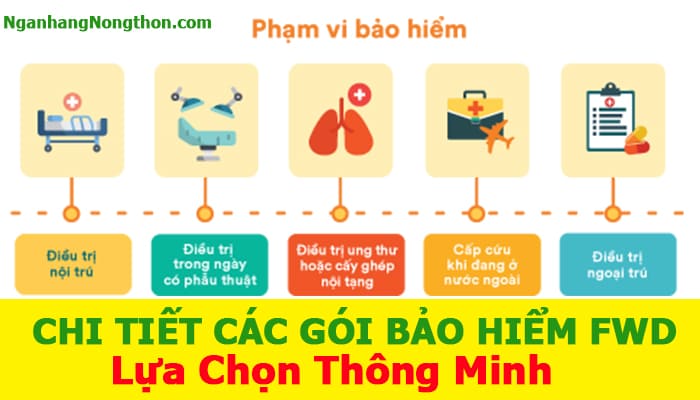 Các gói bảo hiểm FWD lựa chọn thông minh và Tốt nhất 2024