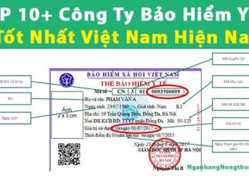 TOP 10+ Công Ty Bảo Hiểm Y Tế Tốt Nhất Việt Nam Hiện Nay
