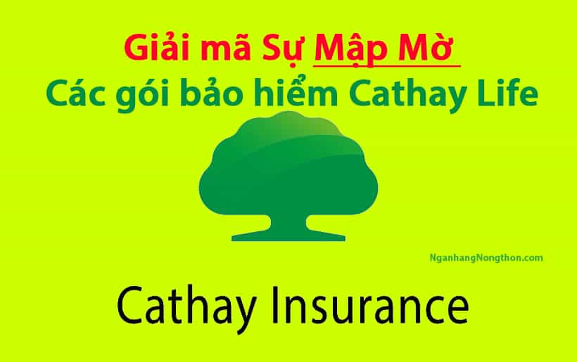 Cathay Life lừa đảo? Lợi ích vàng khi mua các gói bảo hiểm Cathay Life