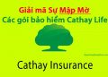 Cathay Life lừa đảo? Lợi ích vàng khi mua các gói bảo hiểm Cathay Life
