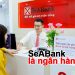 SeABank là ngân hàng gì? SeABank là ngân hàng nhà nước hay tư nhân