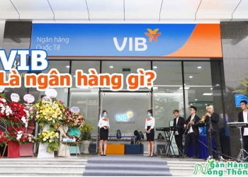 VIB là ngân hàng gì? VIB là viết tắt của ngân hàng nào?