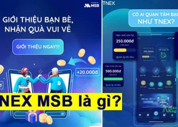 TNEX MSB là gì? Tnex có an toàn, lừa đảo đăng ký tài khoản msb qua App