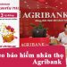 Hướng dẫn vay theo bảo hiểm nhân thọ Agribank