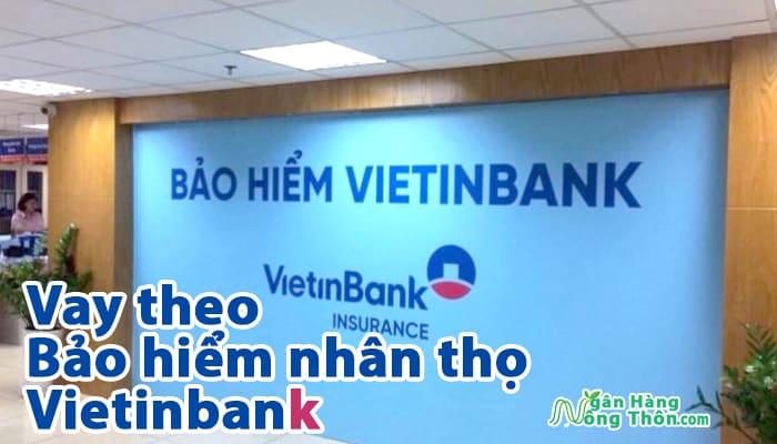 Hướng dẫn vay theo bảo hiểm nhân thọ Vietinbank