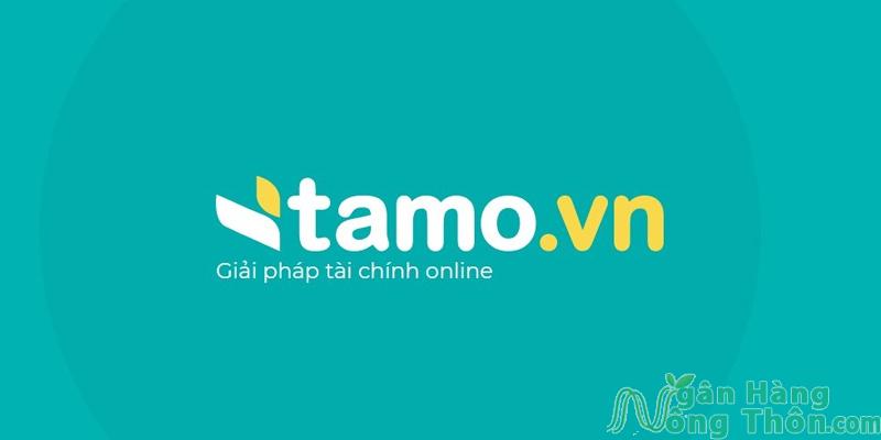 Ứng dụng vay Tamo