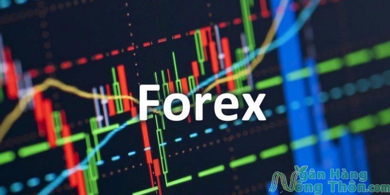 Sàn Forex lừa đảo tại Việt Nam