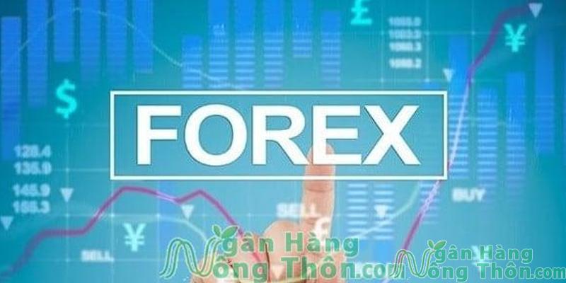 Top 10 Sàn Forex Lớn Nhất Thế Giới Uy Tín Nhất 2024