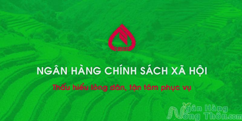 Ngân Hàng Chính Sách Xã Hội Là Gì? Viết Tắt Là Gì?