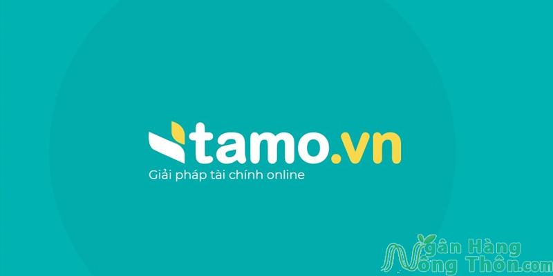 Ứng dụng vay tiền Tamo