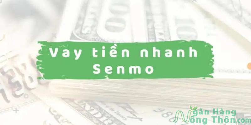 Vay online toàn quốc Senmo