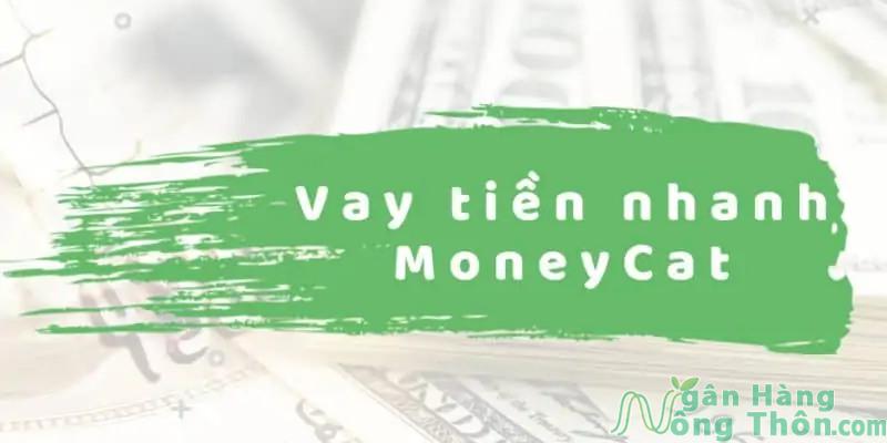 Vay online giải ngân về tài khoản Money Cat