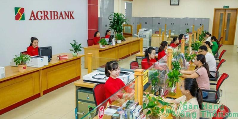 Vay vốn chăn nuôi Agribank 2024: Điều kiện, thủ tục, lãi suất