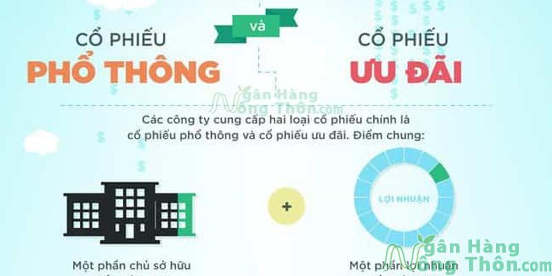 Phân biệt các loại cổ phiếu