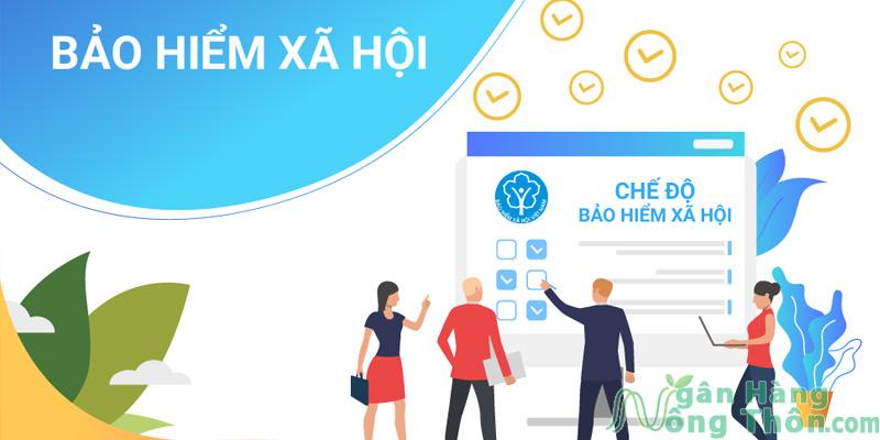 Bảo hiểm xã hội là gì? Mức đóng, Chế độ 2024