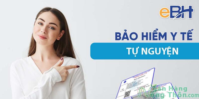 Mua bảo hiểm Y Tế tự nguyện ở đâu? Bao nhiêu tiền?