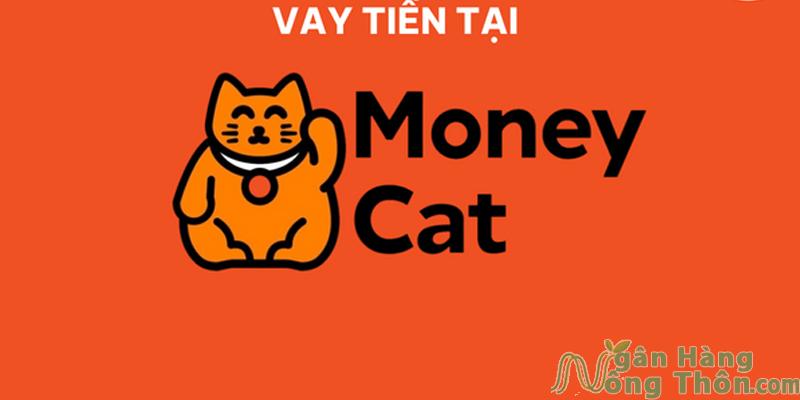 Vay tiền nhanh Money Cat