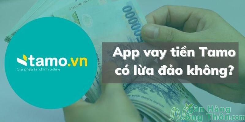 Tamo là gì? Tamo có phải tín dụng đen không?