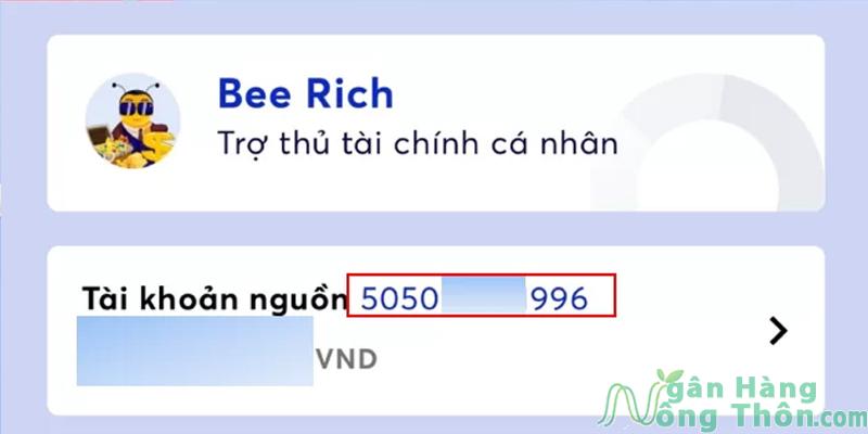 Thông tin số tài khoản