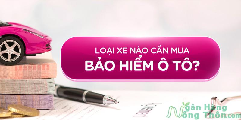 5 Loại bảo hiểm xe ô tô bắt buộc phải có - Biểu phí bảo hiểm TNDS xe ô tô