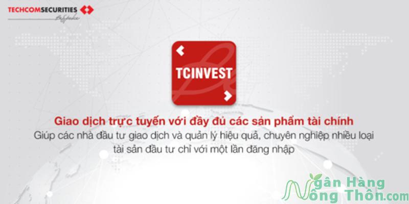 Kinh nghiệm đầu tư Quỹ mở Techcombank – iFund hiệu quả 2024