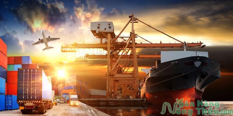 Top các mã cổ phiếu ngành Xuất Nhập Khẩu Logistics Tốt 2024