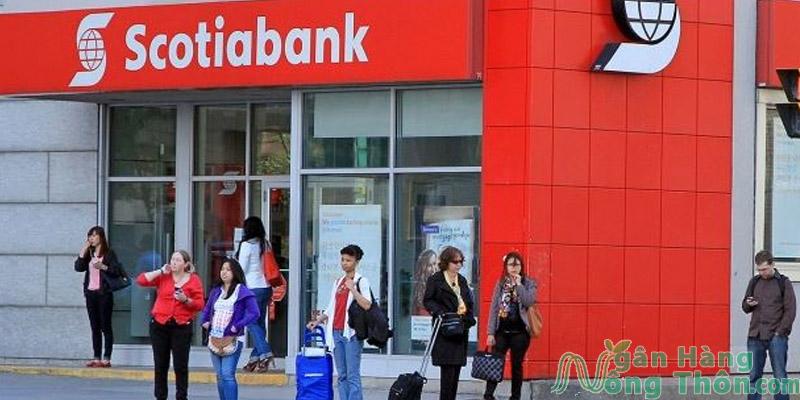 Ngân hàng ScotiaBank