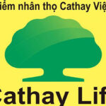 Cathay Life là gì? Review bảo hiểm Cathay Life 2024