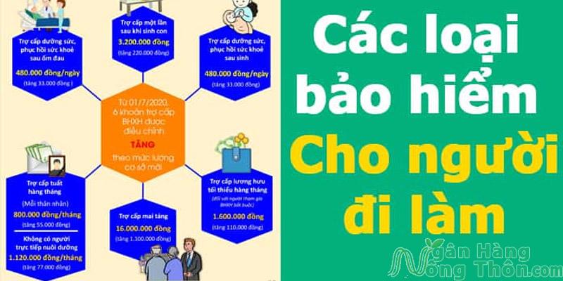 Các loại bảo hiểm cho người đi làm mà doanh nghiệp phải đóng cho nhân viên