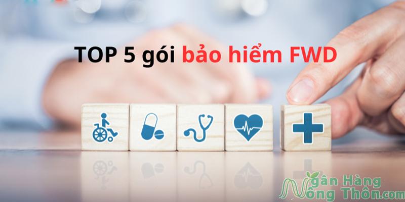 CÁC GÓI BẢO HIỂM FWD Lựa Chọn Thông Minh