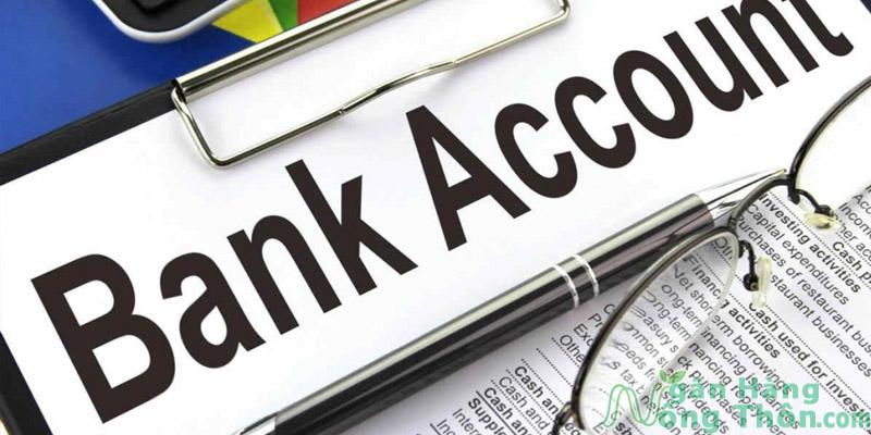 Tài khoản ngân hàng (Bank Account) là gì? Các STK ngân hàng 2024