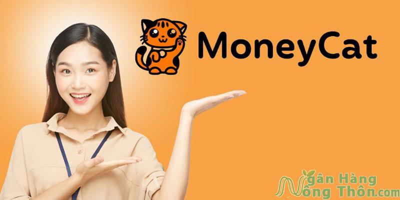 Thông tin sản phẩm vay Moneycat