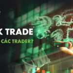 DK Trade hay DK Trading là gì? Thực hư DK Trade lừa đảo đầu tư 2024