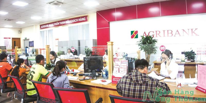 Cách vay vốn ngân hàng Agribank không thế chấp sổ đỏ, tài sản 2024