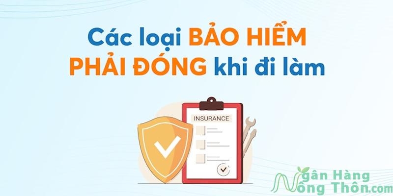 Bảo hiểm công ty đóng cho nhân viên là bảo hiểm gì?