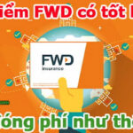 Bảo hiểm FWD có Lừa Đảo, Tốt không? Review bảo hiểm FWD 2024