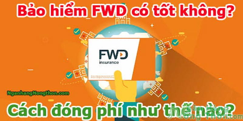 Bảo hiểm FWD có Lừa Đảo, Tốt không? Review bảo hiểm FWD 2024