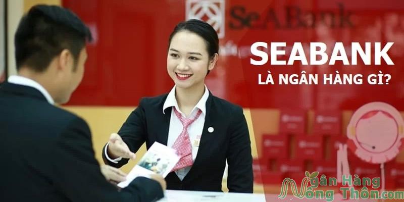 SeABank là ngân hàng gì? là ngân hàng nhà nước hay tư nhân?