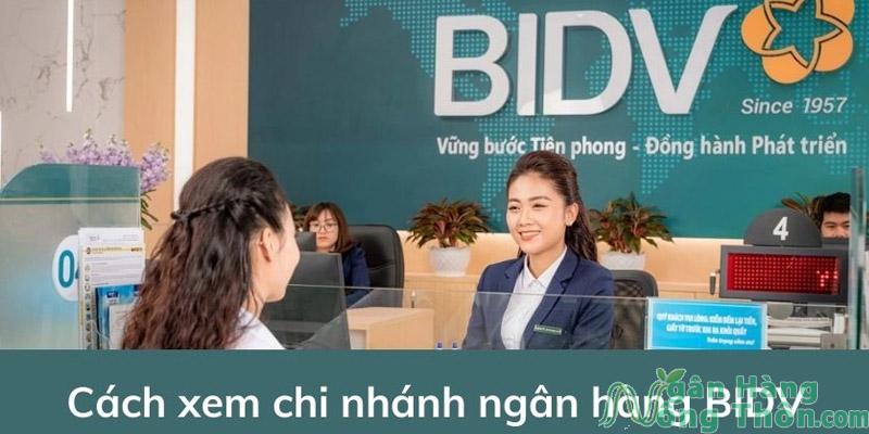 Các chi nhánh ngân hàng BIDV