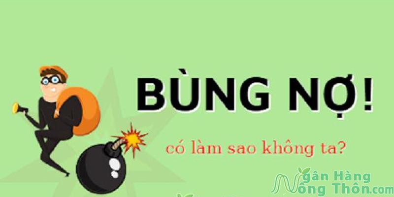 Bùng ví trả sau ZaloPay