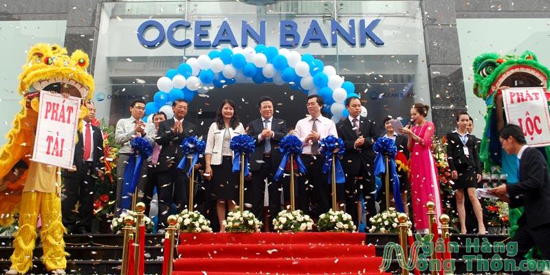 OceanBank là ngân hàng nhà nước hay tư nhân? Mấy chi nhánh?