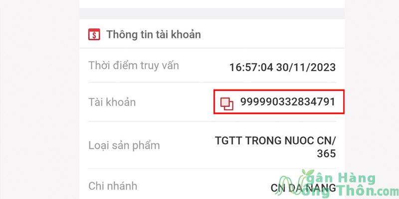 Số tài khoản ngân hàng