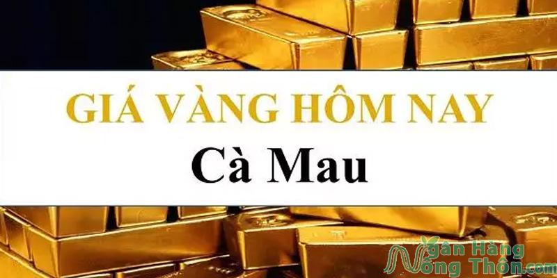 Giá Vàng Hội Kim Hoàn Cà Mau Hôm nay 2024