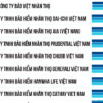 Xếp Hạng Top 10 Công Ty Bảo Hiểm Nhân Thọ Tại Việt Nam Tốt Nhất 2024