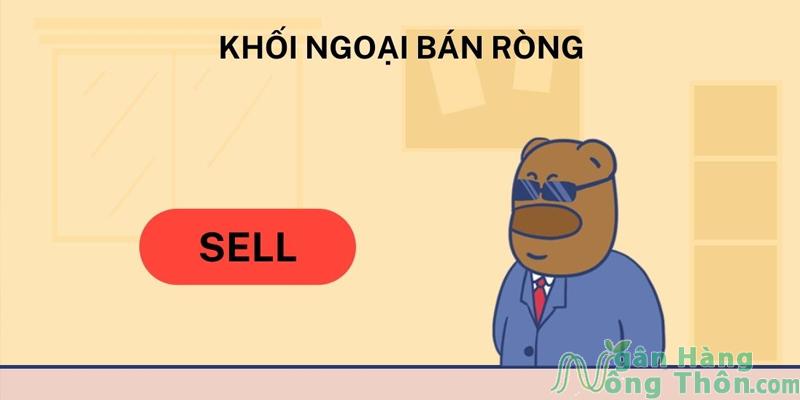 Khối ngoại mua ròng, bán ròng là gì? Có ảnh hưởng gì?