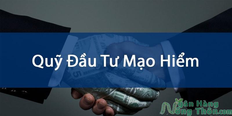 Top 10 Quỹ đầu tư mạo hiểm lớn nhất Việt Nam và Thế Giới