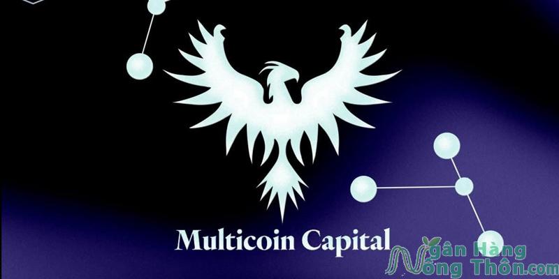 Quỹ đầu tư Multicoin Capital