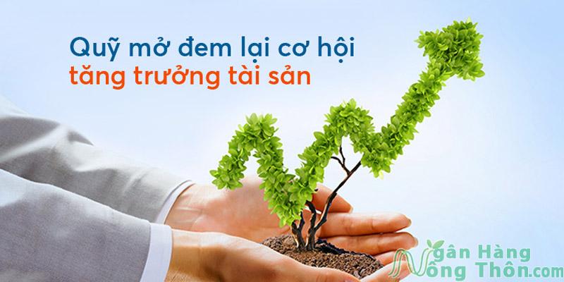 Những Rủi Ro và Nhược điểm của Quỹ Mở khi đầu tư cẩn trọng Lừa đảo