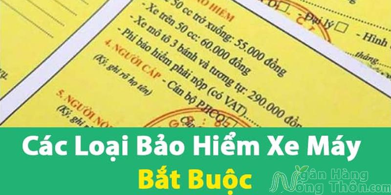 Các Loại Bảo Hiểm Xe Máy - Mua Bảo Hiểm Bắt Buộc, Tự Nguyện Nào?