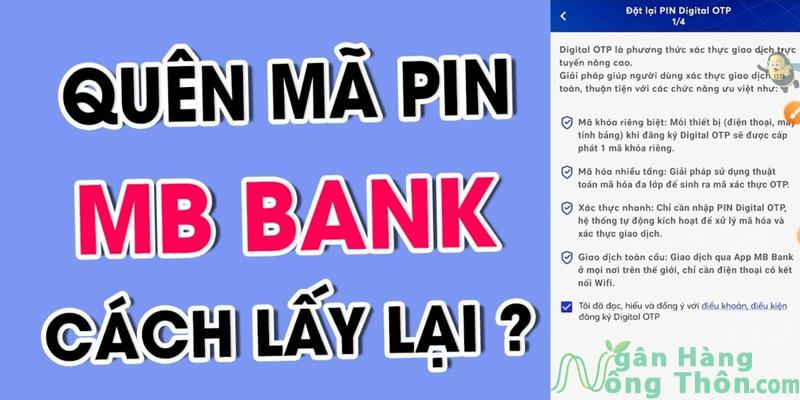 Quên nhập sai mật khẩu MBBank quá 5 lần và Cách lấy lại 2024